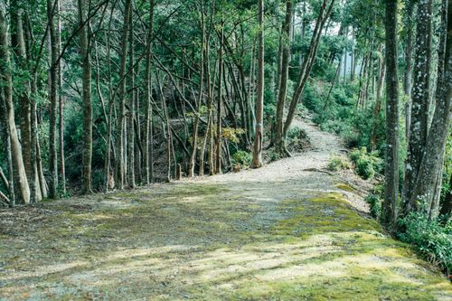 下北山スポーツ公園 公式HPより